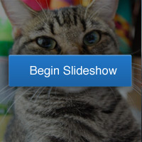 insurancepoliciesdon'tneed