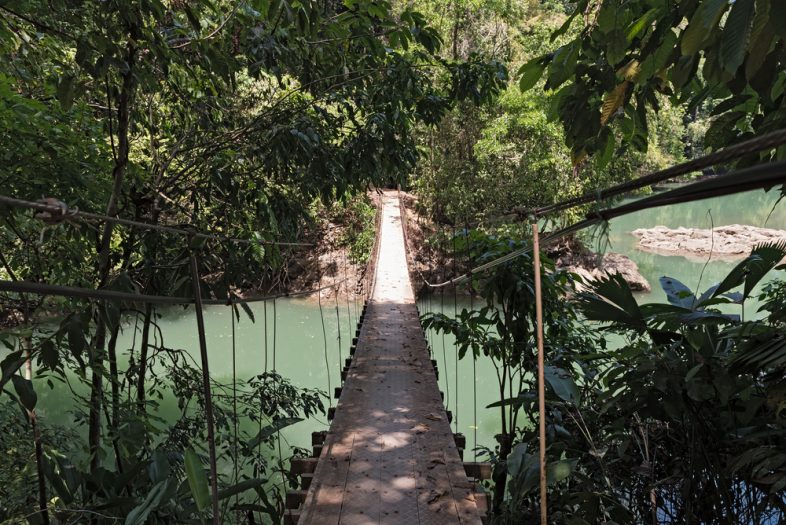 Hanging bridge over the Rio Agujitas near Drake, Costa Rica